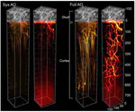 April 2022: Our manuscript on near-noninvasive imaging of brain at high-resolution is accepted for publication in Nature Biotechnology. Congratulations to Zhongya, Zhentao and all co-authors!