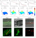 December 2019: Paper on in vivo single-cell lineage tracing is accepted by eLife. Congratulations to Sicong and all co-others! 